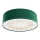 Ceiling light RAYS 2xE27/60W/230V d. 40 cm green