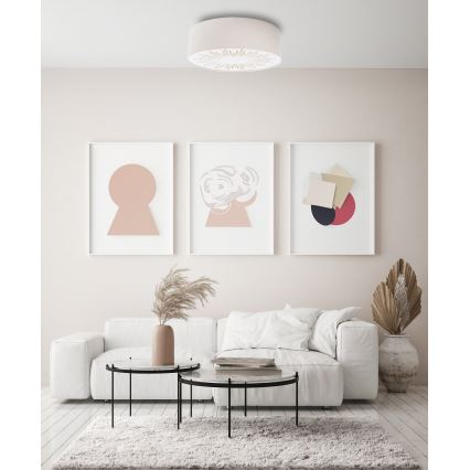 Ceiling light RAYS 2xE27/60W/230V d. 40 cm white
