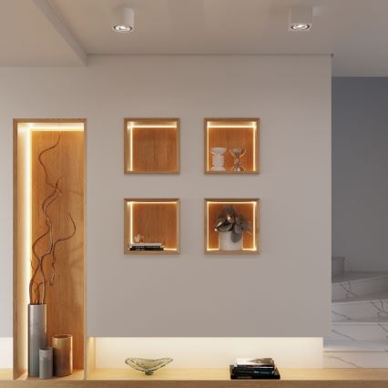 Ceiling light SEIDA 1xGU10/40W/230V
