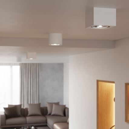 Ceiling light SEIDA 1xGU10/40W/230V