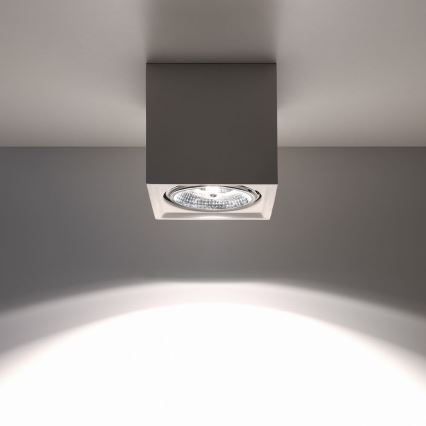 Ceiling light SEIDA 1xGU10/40W/230V