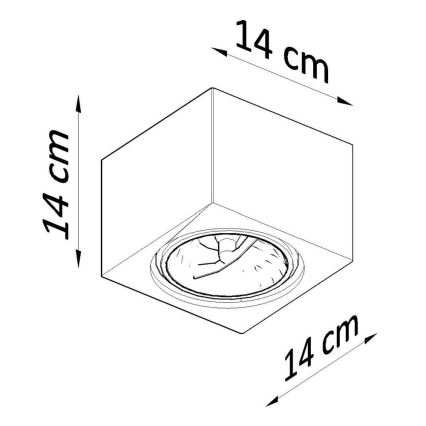 Ceiling light SEIDA 1xGU10/40W/230V