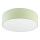 Ceiling light SIRJA PASTEL 2xE27/60W/230V d. 45 cm green