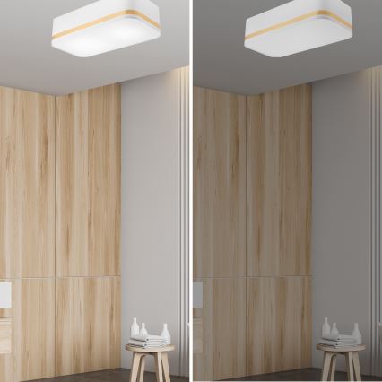 Ceiling light SIRJA SQUARE STRIPE 2xE27/15W/230V white/gold