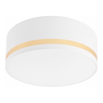Ceiling light SIRJA STRIPE 2xE27/15W/230V d. 35 cm white