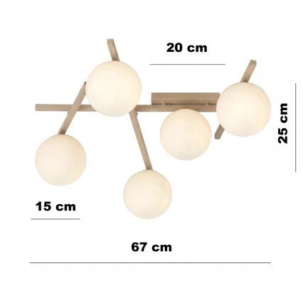 Ceiling light SMART 5xE14/10W/230V beige/white