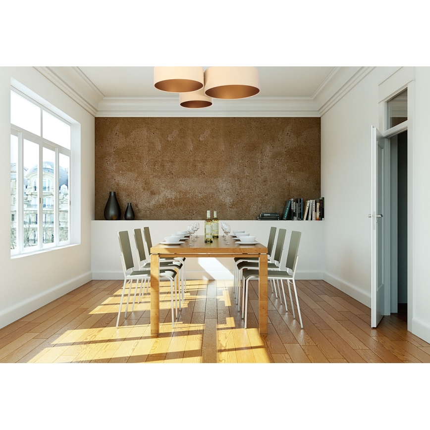 Ceiling light SPACE 3xE27/60W/230V