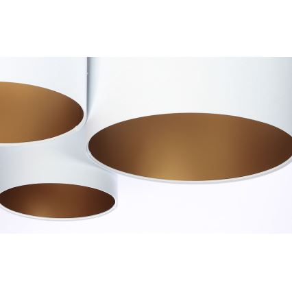 Ceiling light SPACE 3xE27/60W/230V white/gold