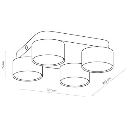 Ceiling light SPACE 4xGX53/15W/230V white