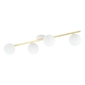 Ceiling light SPLENDI 4xE14/10W/230V white/gold