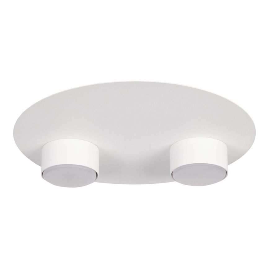 Ceiling light STAR 2xGX53/12W/230V white
