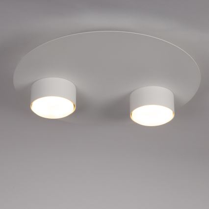 Ceiling light STAR 2xGX53/12W/230V white