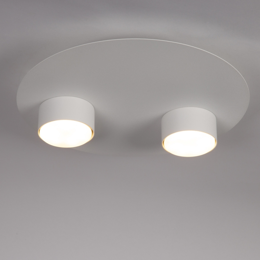 Ceiling light STAR 2xGX53/12W/230V white