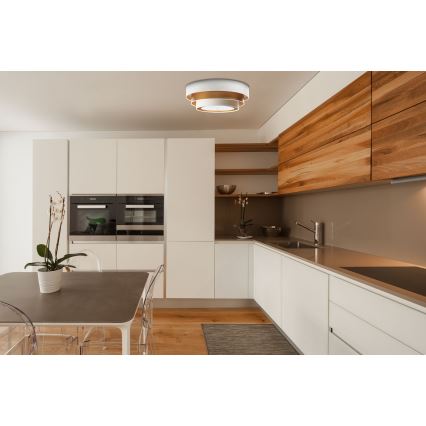 Ceiling light TRINITI 2xE27/60W/230V white/gold