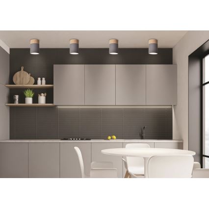 Ceiling light TUBA GU10/15W/230V