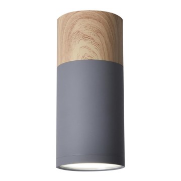 Ceiling light TUBA GU10/15W/230V