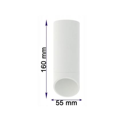 Ceiling light VALDA 1xGU10/60W/230V white