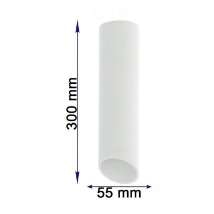 Ceiling light VALDA 1xGU10/60W/230V white