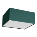 Ceiling light VERDE 2xE27/60W/230V 40x40 cm green