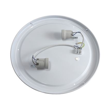 Ceiling light VINGON 2xE27/60W/230V