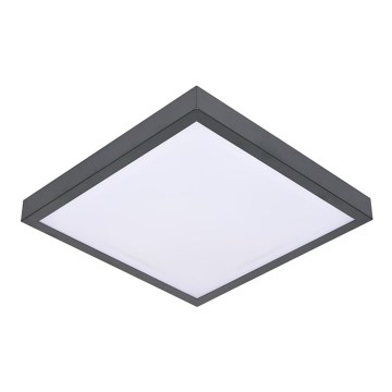 Ceiling light VITAL 2xE27/60W/230V anthracite