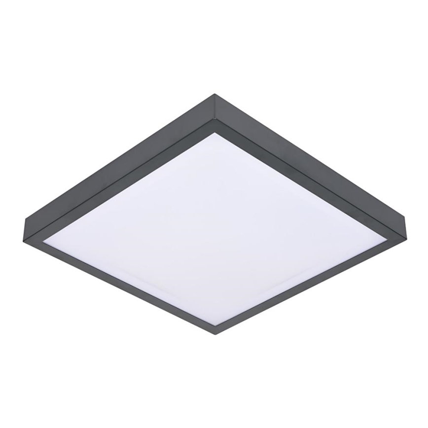 Ceiling light VITAL 2xE27/60W/230V anthracite