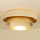 Ceiling light WENTA 1xE27/60W/230V Ø 50 cm beige/gold