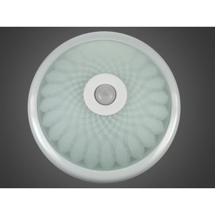 Ceiling light with a sensor PLAFON 2xE27/80W/230V