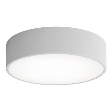 Ceiling light with motion and twilight sensor CLEO 2xE27/24W/230V dia. 30 cm grey