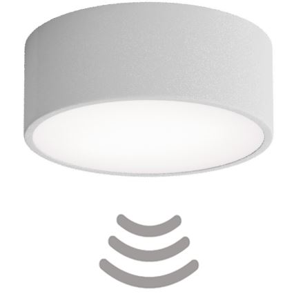 CLEO ceiling light with motion and dusk sensor, 1x E27/40W/230V, Ø 20 cm, grey