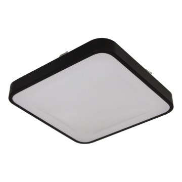 Ceiling light with sensor WILTON 2xE27/60W/230V 33x33 cm black