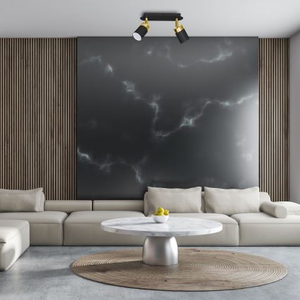 Ceiling spotlight JOKER 2xGU10/25W/230V black