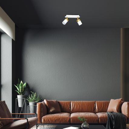 Ceiling spotlight JOKER 2xGU10/25W/230V white