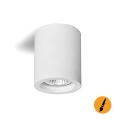 Ceiling spotlight PUTTO 1xGU10/35W/230V