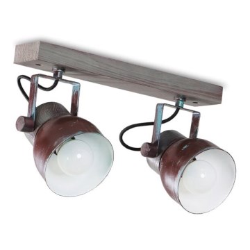 Ceiling spotlight VIANA 2xE27/60W/230V