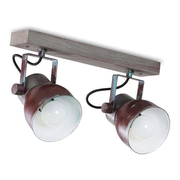 Ceiling spotlight VIANA 2xE27/60W/230V