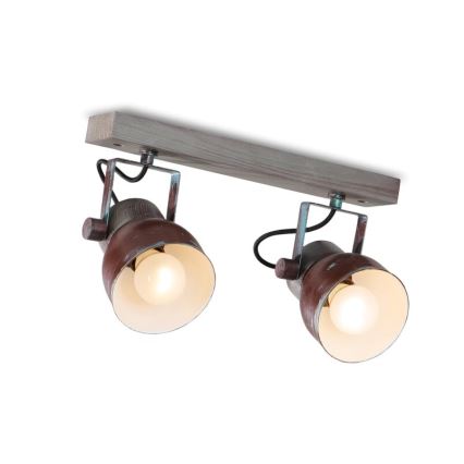 Ceiling spotlight VIANA 2xE27/60W/230V