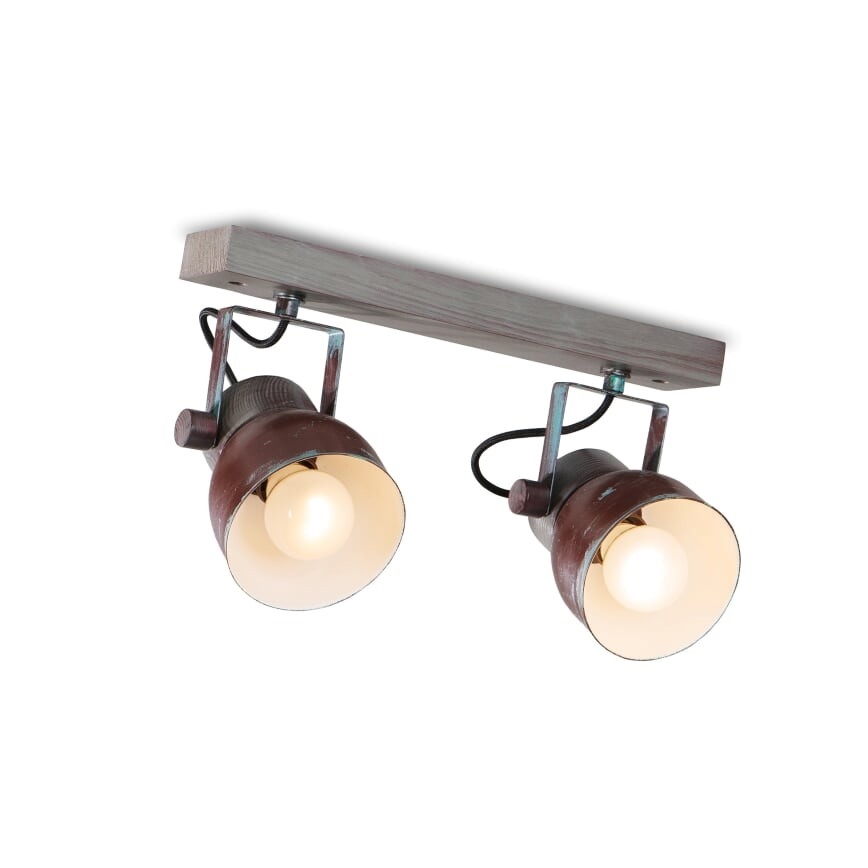 Ceiling spotlight VIANA 2xE27/60W/230V