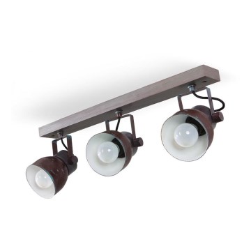 Ceiling spotlight VIANA 3xE27/60W/230V