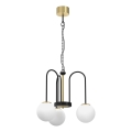 Chandelier on a chain CAMBRIDGE 3xE14/60W/230V black/brass