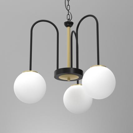 Chandelier on a chain CAMBRIDGE 3xE14/60W/230V black/brass