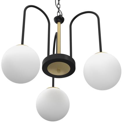 Chandelier on a chain CAMBRIDGE 3xE14/60W/230V black/brass