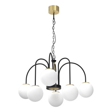 Chandelier on a chain CAMBRIDGE 6xE14/60W/230V black/brass