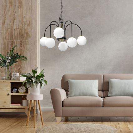 Chandelier on a chain CAMBRIDGE 6xE14/60W/230V black/brass