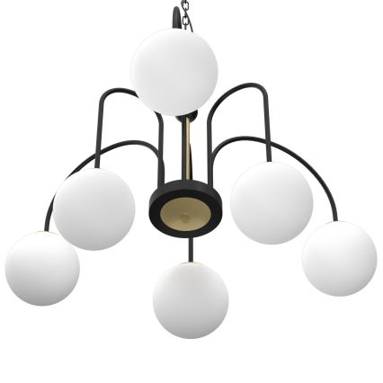 Chandelier on a chain CAMBRIDGE 6xE14/60W/230V black/brass