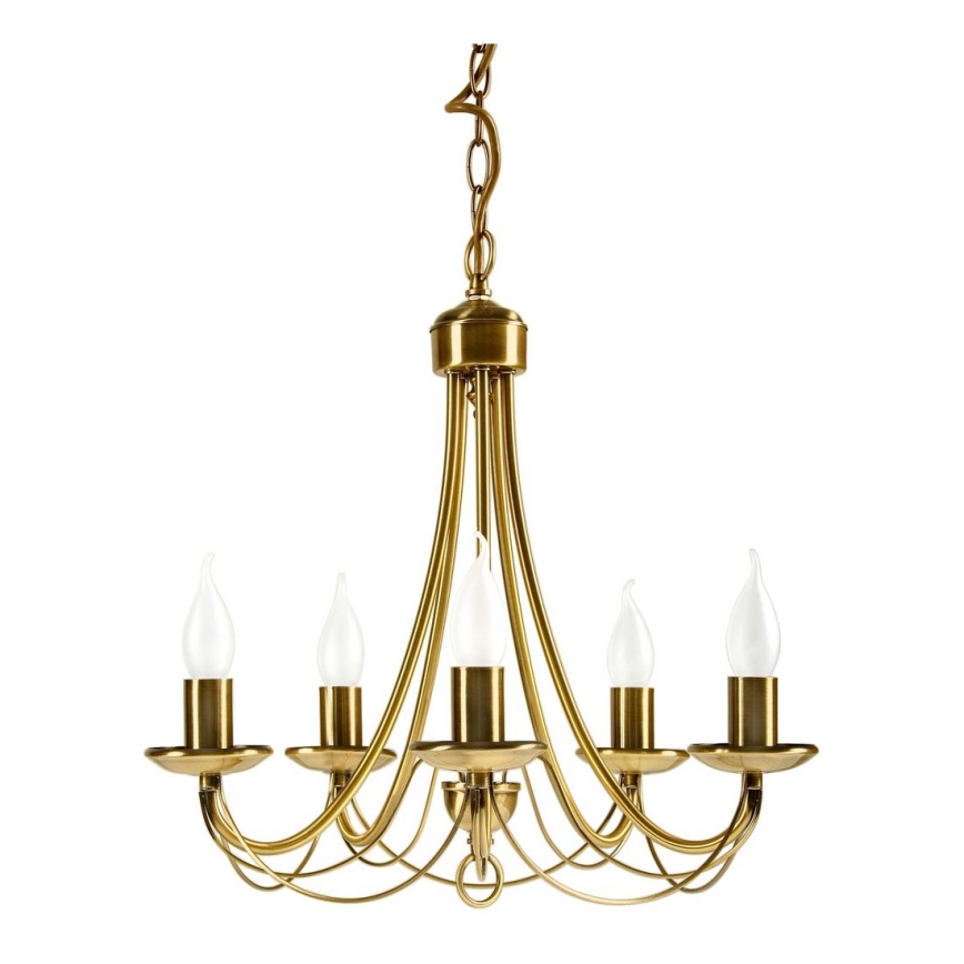 Chandelier on a chain MUZA 5xE14/40W/230V