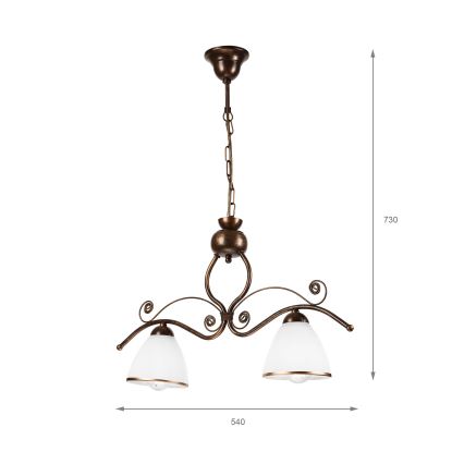 Chandelier on a chain RETRO 2xE27/60W/230V copper/patina