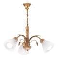 Chandelier on a Chain TULIP 3×E27/60W/230V Oak