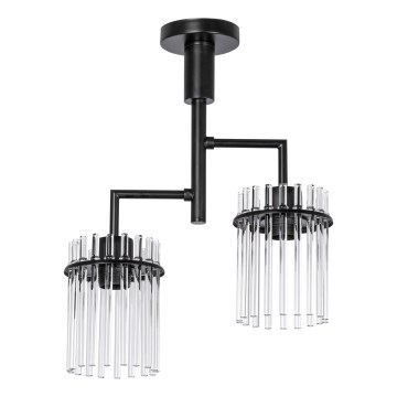 Chandelier on a pole 2xE27/60W/230V black/clear