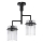 Chandelier on a pole 2xE27/60W/230V black/clear